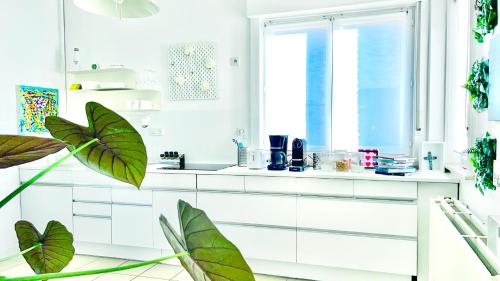 a kitchen with white cabinets and green plants at BEEEP Stay in Hasselt