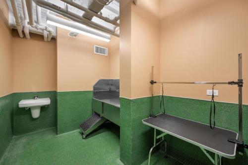 ケンブリッジにあるBlueground Ward Two pool nr Prospect Hill Park BOS-1274の緑豊かなバスルーム(洗面台、トイレ付)