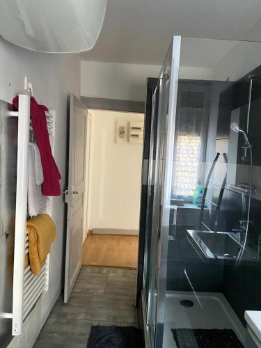 a bathroom with a sink and a glass shower at Aux Portes de Brisach in Sélestat