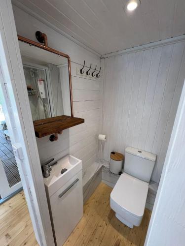 Un baño con inodoro, lavabo y espejo. en Lodge near Bath for relaxing getaway with Hot tub, en Chittoe