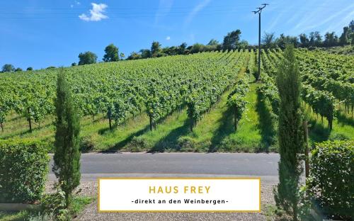 Zahrada ubytování Villa Auszeit im Haus Auszeit im Weindorf 1 BR up to 3 people