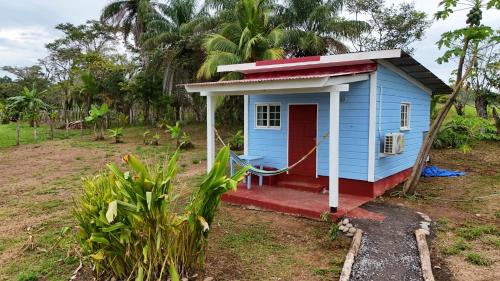 a blue house with a red door in a field at cabanita Celeste in Boca Chica