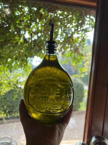 Fotografie z fotogalerie ubytování Agriboutique L'Uliveto Magico v destinaci Cannara