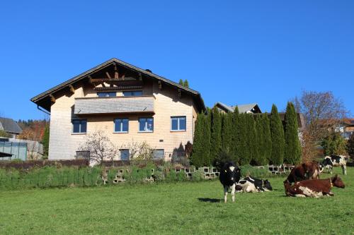 Ferienwohnung Vögel