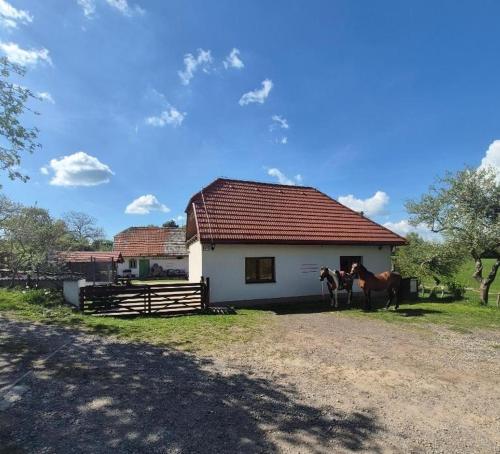 two horses standing in front of a house at Chata Chotár Nová Baňa in Veľká Lehota