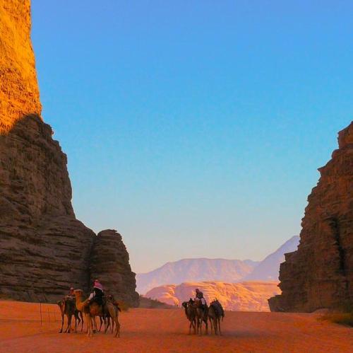 Natuurlandschap vlak bij het aparthotel