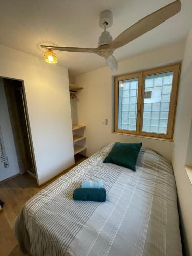 ein Schlafzimmer mit einem großen Bett und einem Deckenventilator in der Unterkunft Le petit cosy in Saint-Paul-Trois-Châteaux