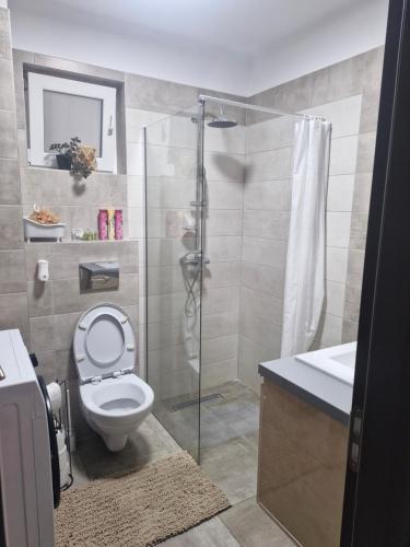 Koupelna v ubytování Casa Teodorei