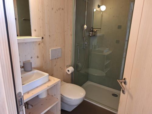 Un baño con ducha, inodoro y lavabo. en StrohGlück Rigi - traumhafte nachhaltige Ferienwohnungen mit toller Aussicht, en Rigi Kaltbad