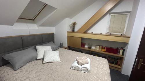 a bedroom with a bed and a book shelf at Apartman ARIA in Kutina