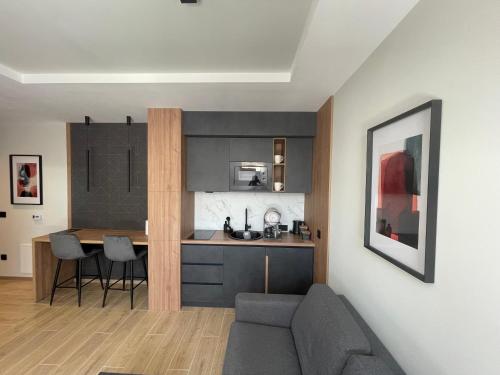 Η κουζίνα ή μικρή κουζίνα στο Escape Panorama Apartmani Tara