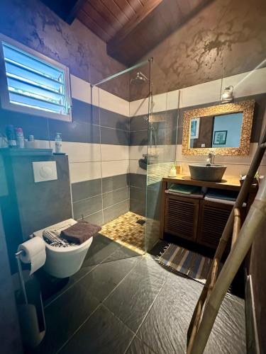 a bathroom with a shower and a toilet and a sink at Villa Saphir B & B in Sainte-Anne