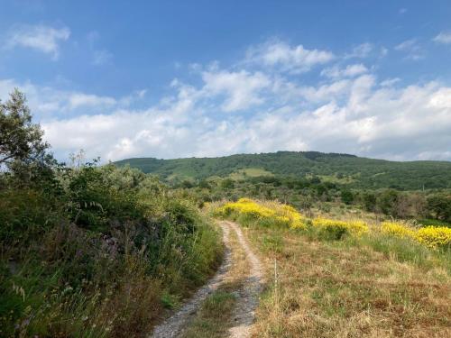 Galería fotográfica de In the Wild Volcano Sea Side 