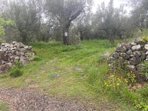 Galería fotográfica de In the Wild Volcano Sea Side 