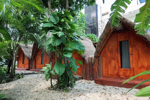 a small wooden house with a tree in front of it at El Búho Bacalar Eco-Cabañas Hostal in Bacalar