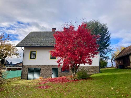 Ferienhaus zur alten Zeder