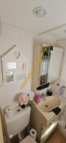 a bathroom with a sink and a mirror at Les Tournesols in Middelkerke