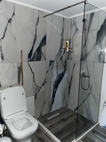 a bathroom with a toilet and a glass shower at Villa Aretousa in Ágios Prokópios