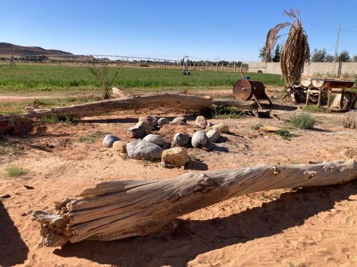Galeriebild der Unterkunft Maison d'hôtes Houria in Laghouat