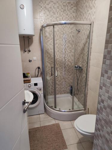 eine Dusche im Badezimmer mit Toilette und Waschmaschine in der Unterkunft Dunja Doboj in Doboj