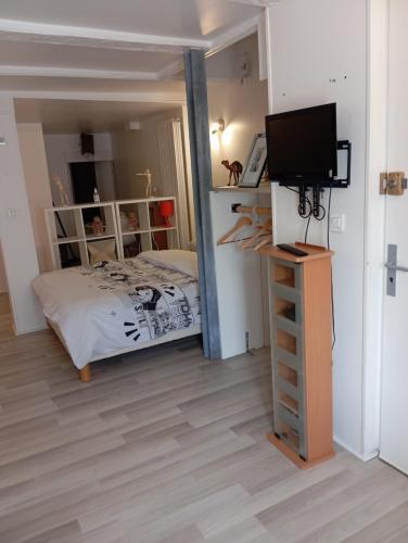 a bedroom with a bed and a flat screen tv at Studio Chavigny avec wifi in Chavigny