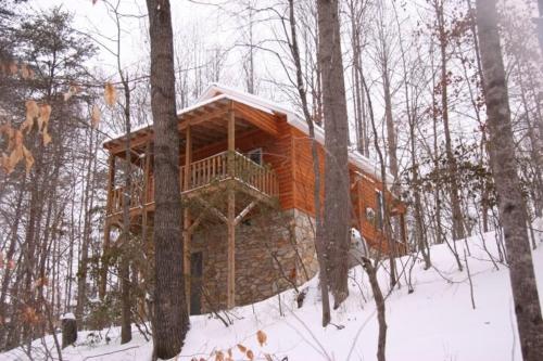 Secluded Woodland Cabin Rental with Hot Tub in Yadkin Valley Wine Region v zimě