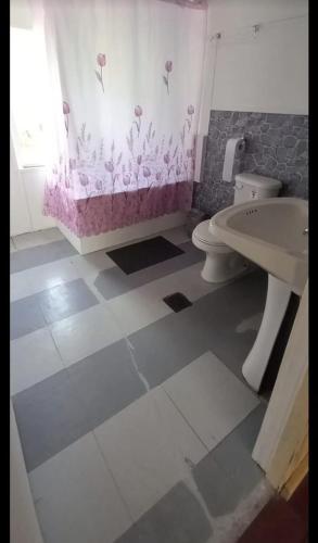 a bathroom with a sink and a toilet at Cabaña el Sauco in Puerto Guadal