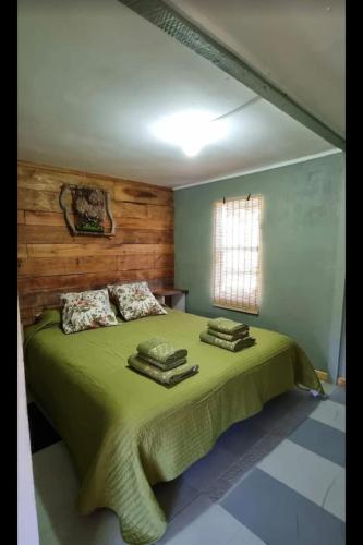 a bedroom with a bed with green sheets and a window at Cabaña el Sauco in Puerto Guadal