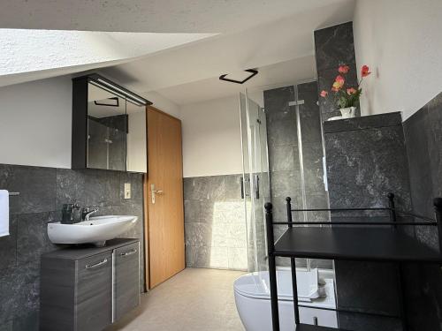 een badkamer met wastafel, douche en toilet bij Ferienwohnungen in Röblingen 