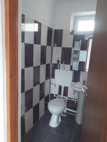 a bathroom with a toilet and a sink at Casa V in Tulcea