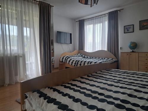 Gallery image of Casa din livada in Borşa