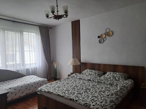 Gallery image of Casa din livada in Borşa