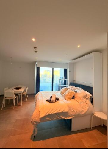 Larger studio apartment, great view