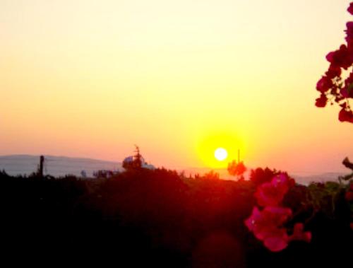 a sunset with the sun in the sky and flowers at Castello Azzurro in Maragkas