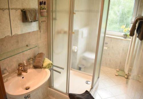 a bathroom with a shower and a sink at Ferienwohnung In Frauenberg Mit Garten in Haidmühle