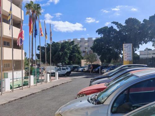eine Reihe von Autos auf einem Parkplatz mit Fahnen geparkt in der Unterkunft Los Molinos 503 in San Bartolomé de Tirajana