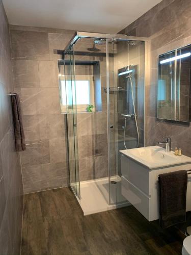 a bathroom with a glass shower and a sink at smartroom Apartment in Wettingen in Wettingen