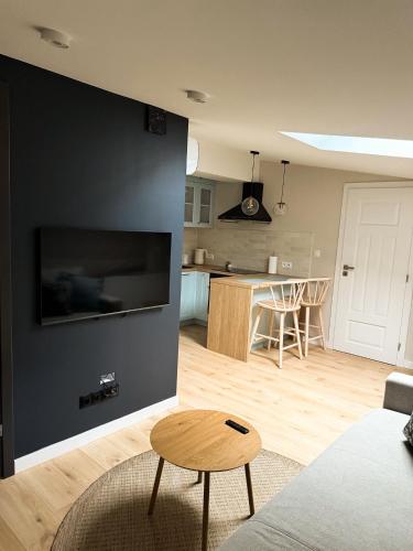 Η κουζίνα ή μικρή κουζίνα στο Apartamenty Guzik 31