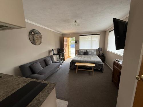 a bedroom with a bed and a couch and a television at Riverside Studio in Wanaka