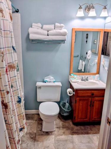 a bathroom with a toilet and a sink and a mirror at Two Bedroom Loft Apartment Sleeps 8 with River Views near Loon Mountain in Lincoln