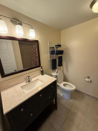 Un baño con lavabo, inodoro y espejo. en The Century House Bed and Breakfast Ottawa, en Ottawa