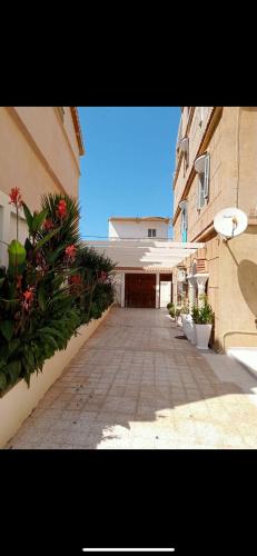 een leeg steegje in een gebouw met bloemen en planten bij Villa ziari in Skikda