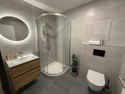 een badkamer met douche, toilet en wastafel bij Veleslaveenka in Pilsen