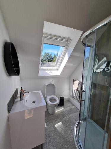 a bathroom with a toilet and a sink and a skylight at Woodland studio in Stittenham