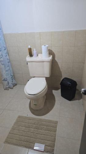 ein Badezimmer mit einem WC und einem Teppich in der Unterkunft Allende Cozy Suite - Entrada privada y patio in Buenavista