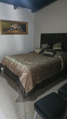 ein Schlafzimmer mit einem Bett mit einer braunen Bettdecke in der Unterkunft Allende Cozy Suite - Entrada privada y patio in Buenavista