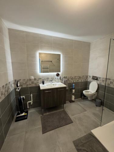 een badkamer met een wastafel en een toilet bij Studio Cosy Le Cocon au calme in Saint-Bonnet-de-Mure