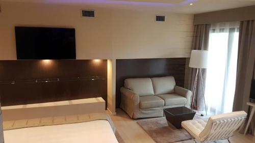 a bedroom with a couch and a chair and a television at Hotel Griso Collection in Malgrate