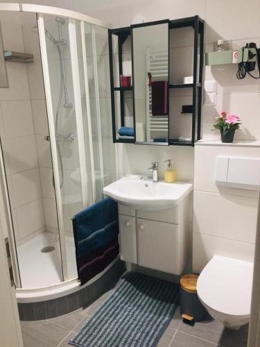 a bathroom with a sink and a shower and a toilet at DeliApart Ossiacher See in Sattendorf