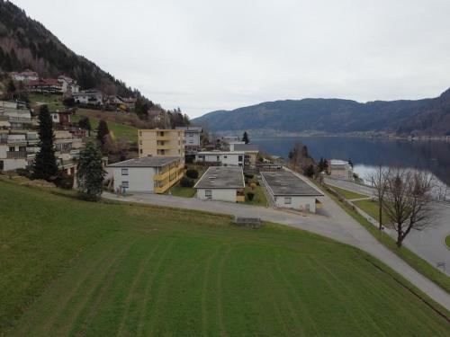 a view of a town with a lake and houses at DeliApart Ossiacher See in Sattendorf